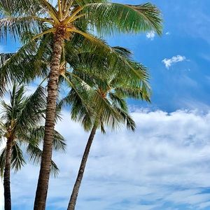 REASONABLE Offers WELCOME🥰